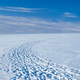 Illustration for article titled Flat, Unending Landscape Still Makes Veteran Cross-Country Skier Nervous Before Race